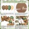170Pcs Jungle Safari Balloons Garland Kit, Safari Baby Shower Decorations Sage Green Brown & Animal Print Balloons Palm Leaves for Woodland Themed Giraffe Wedding Two Wild One Birthday Party Supplies